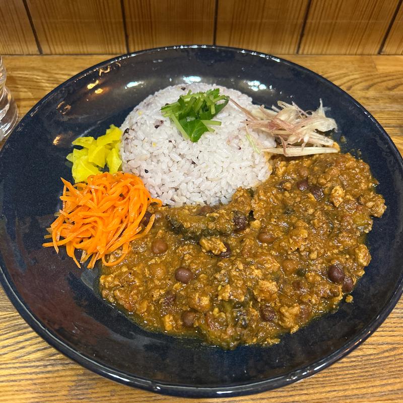 ゴーヤとブラックチャナ豆のキーマ(あきなのカレー)