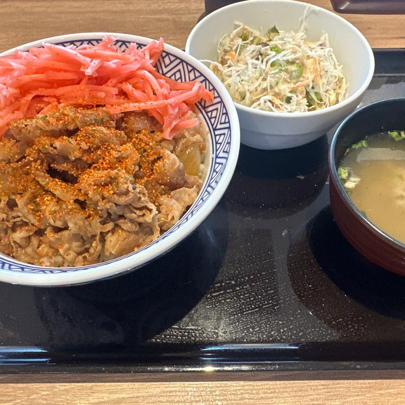 牛丼アタマの大盛サラダセット(吉野家 新４号線上三川店 )