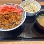 牛丼アタマの大盛サラダセット