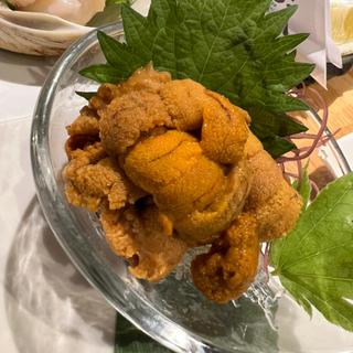 バフン雲丹刺身盛り
