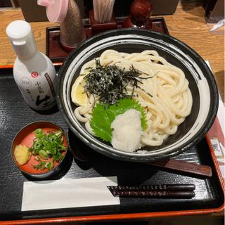 生醤油うどん(実演手打うどん 杵屋 川崎アゼリア店)