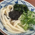 冷たーい海苔旨塩うどん
