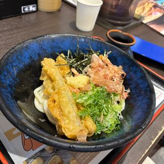 ミニゴボウ天肉うどん