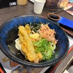 ミニゴボウ天肉うどん