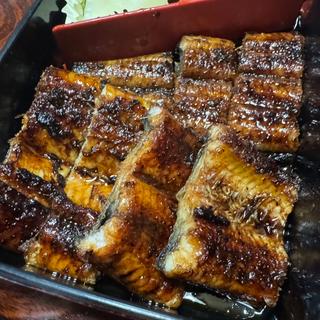 うな重(かねしんうなぎ )