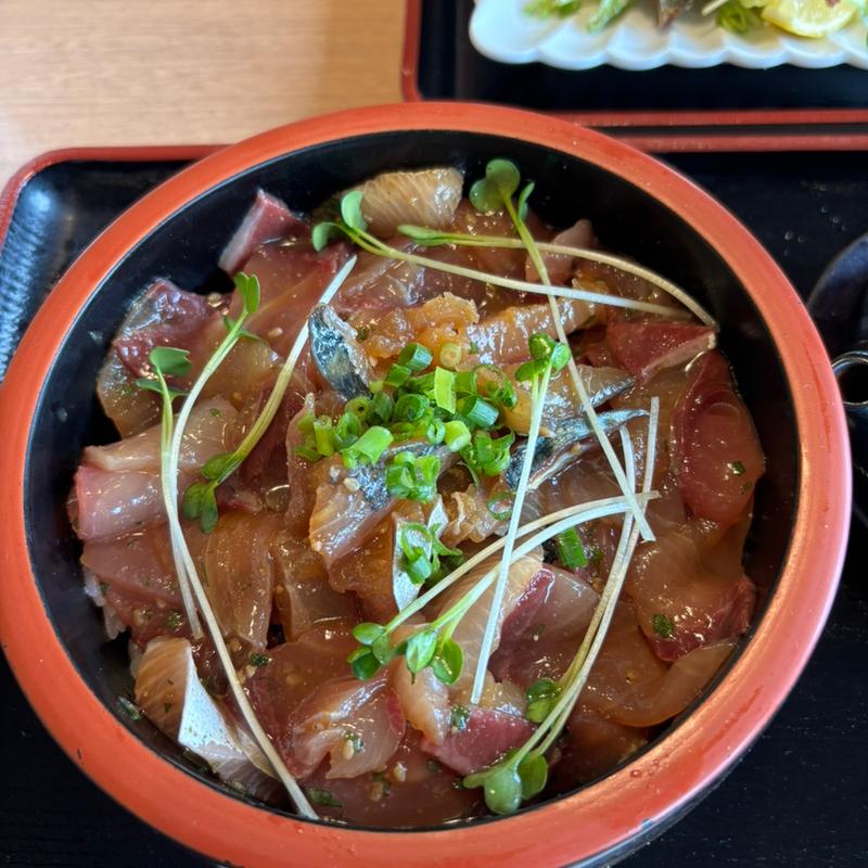 りゅうきゅう丼(関あじ関さばの郷 佐賀関食堂)