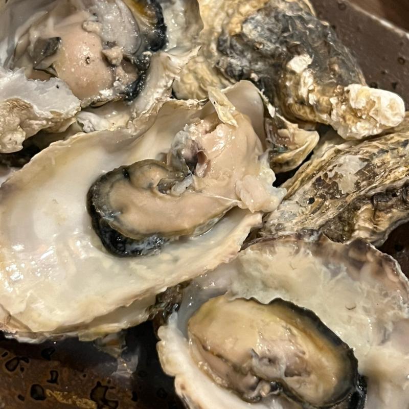 蒸し牡蠣　5個(あじさい )