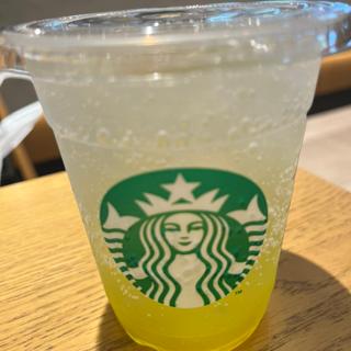 デラックスソーダマスカット　トールサイズ