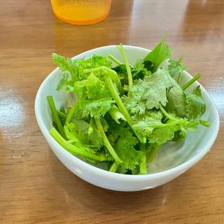 パクチー担々麺