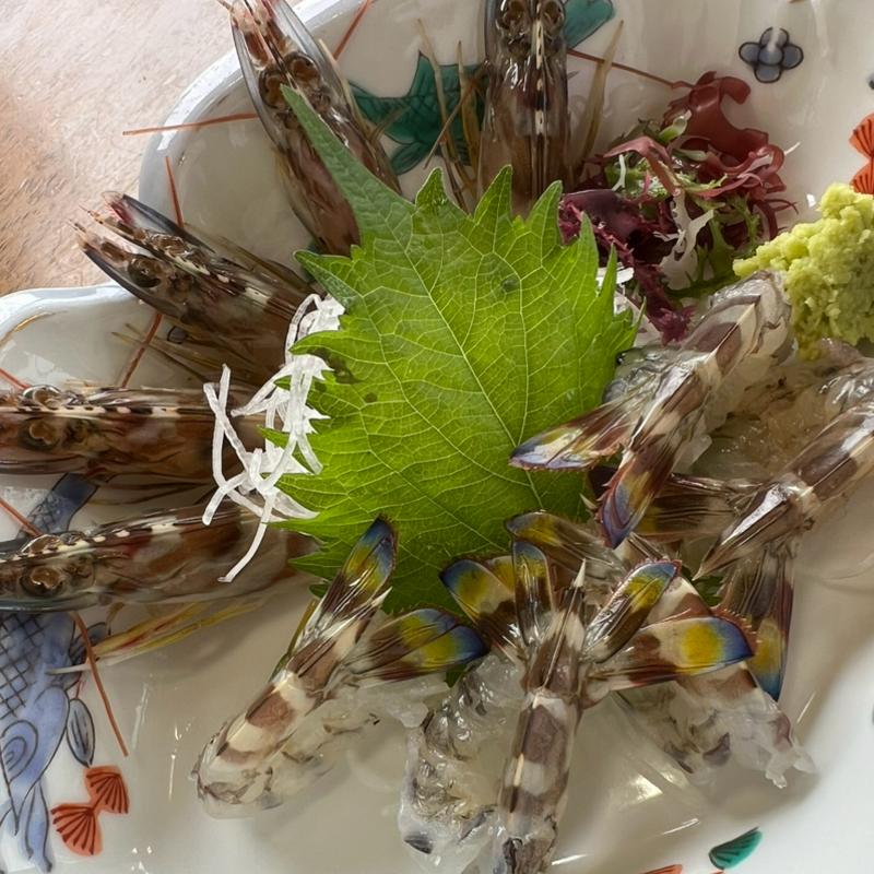 車海老の活き造り(海老の宮川 本渡亀川店 )