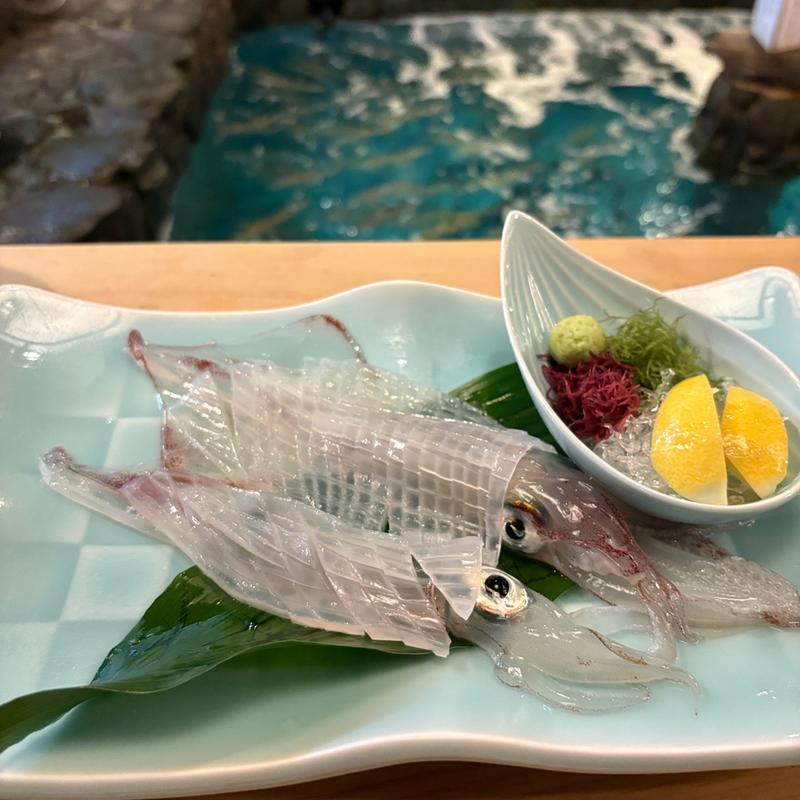 呼子のイカの活造り(河太郎 中洲本店)