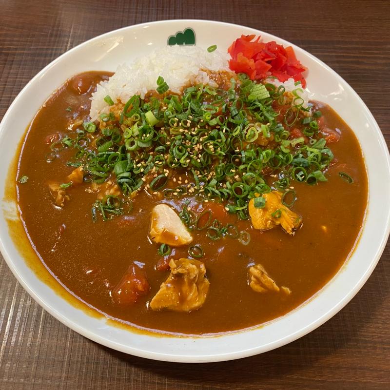 トマトチキンカレー　青ねぎ　ピリ辛(マウンテンカレー)