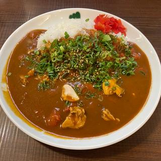 トマトチキンカレー　青ねぎ　ピリ辛