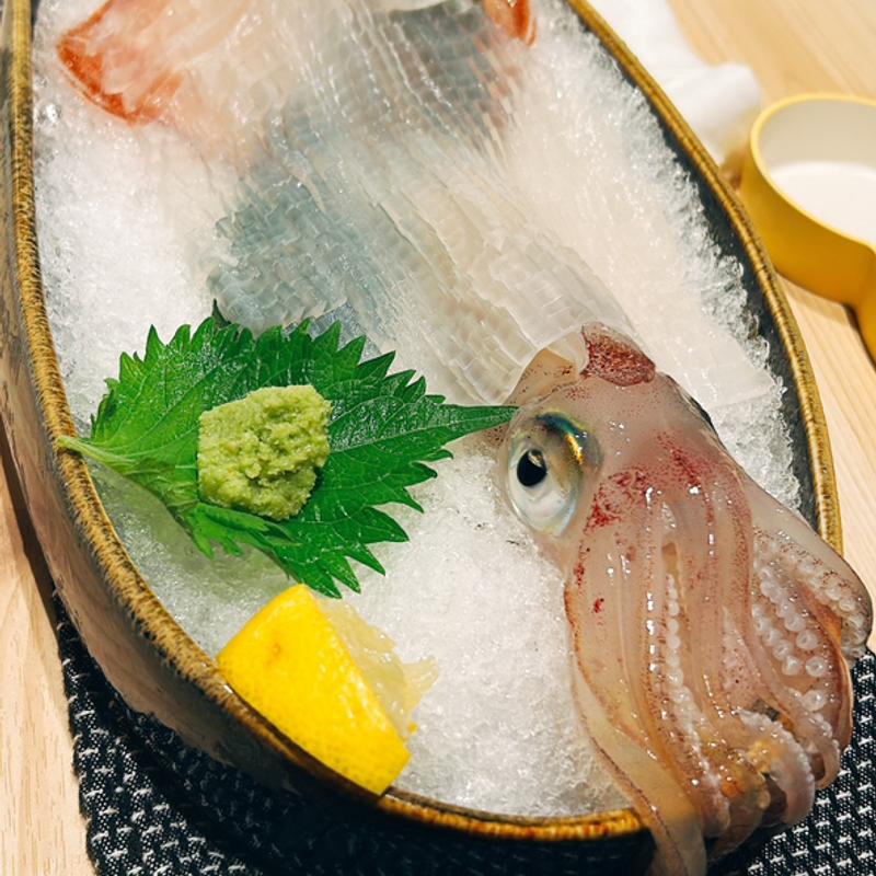 ヤリイカの活き造り(海鮮家 海進丸)