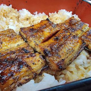 うな重定食(大谷うな重 別府やよい店)