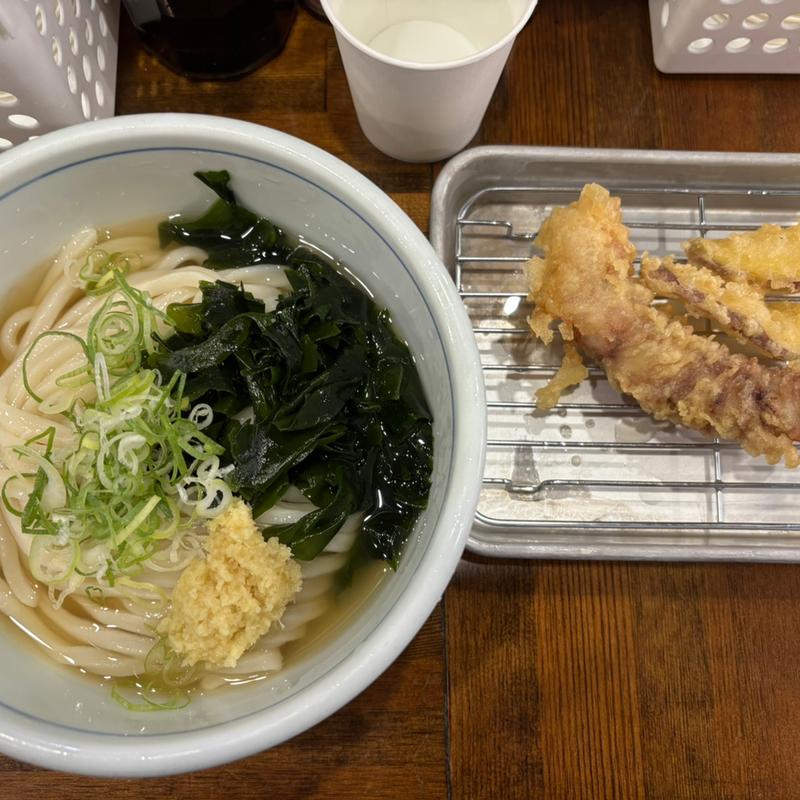 きまぐれうどん(トウキョウライトブルーホンゴウスリー)