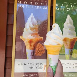 もろみソフトmini