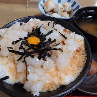 名物イカ丼(ドライブイン よしだ)