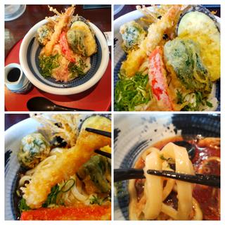 野菜天ぶっかけ(うどん工房 かたつむり)