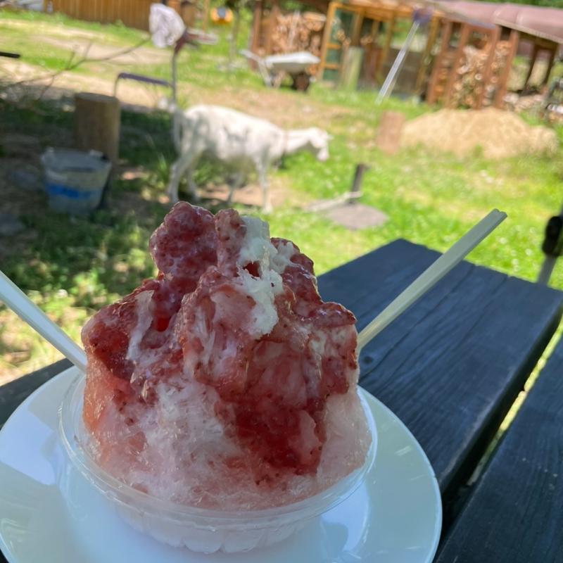 (クワモンペ （KUWA MONPE）)