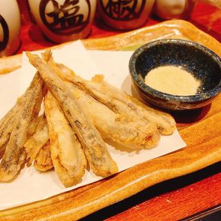 小イワシの天ぷら(集【TUDOH】)