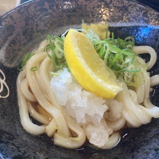 おろしぶっかけ(はなまるうどん 滋賀東草津店 )