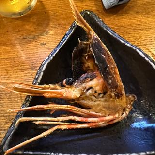 シマエビの頭(千成寿司 玉姓町支店 )