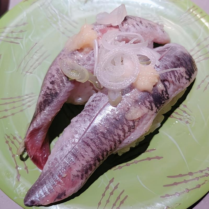 マイワシ(回転寿司 根室花まる ココノススキノ店)