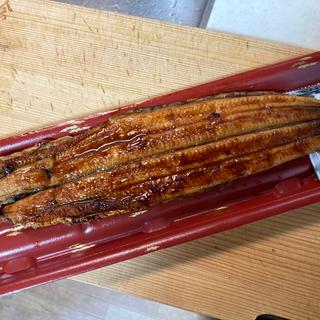 国産うなぎ蒲焼