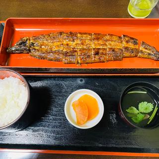 蒲焼き定食上（サラダ・ごはん・肝吸い・漬物・コーヒー又はデザート付き）