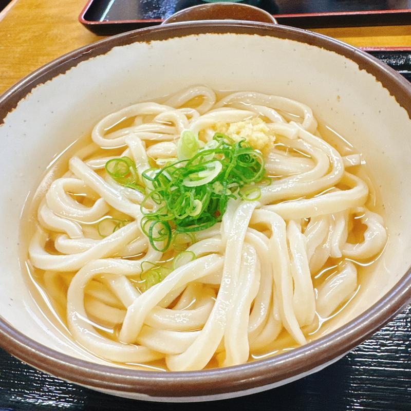 かけうどん(中)ひやひや(山下うどん （やました）)