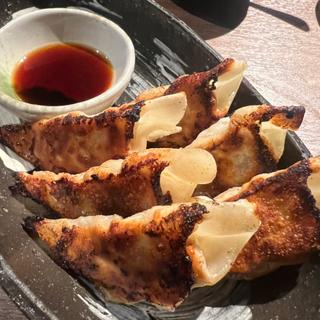 あぐー豚の餃子(燦別邸 岐阜店)