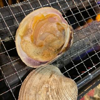 活ホンビノス貝濱焼
