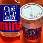 One Cup OZEKI・mini・100 ml