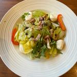 イタリアン産パールモッツァレラのバルサミコサラダ