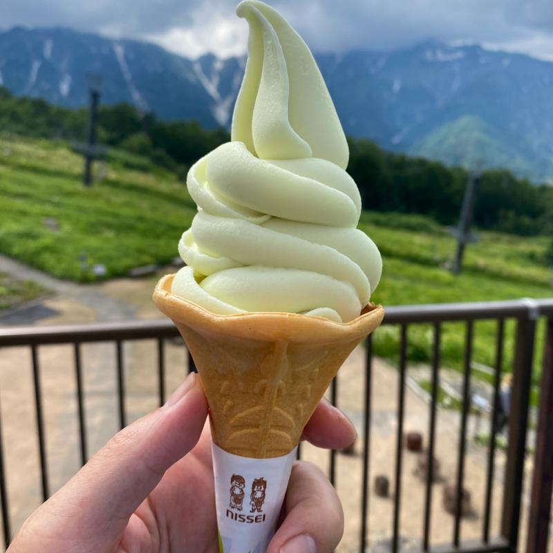 シャインマスカットソフトクリーム(レストラン アルプス 360)