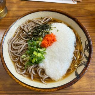 山かけそば
