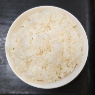 ご飯