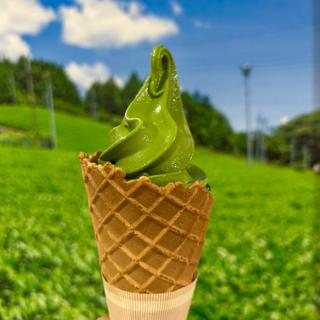 村抹茶ソフトクリーム