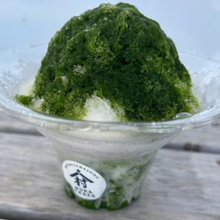 かき氷 抹茶