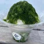 かき氷 抹茶
