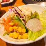 サラダバー_なべしまランチ