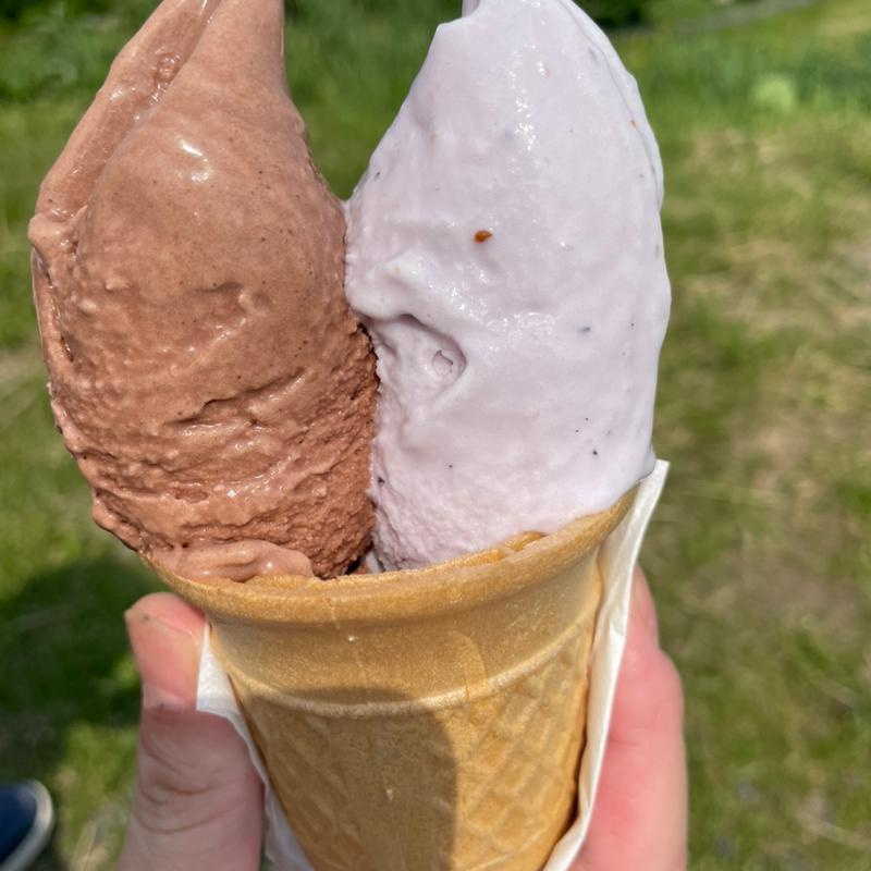 ダブル(奥中山高原 ジェラートハウス 雪あかり)