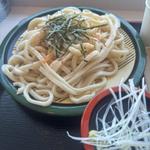 ざるうどん