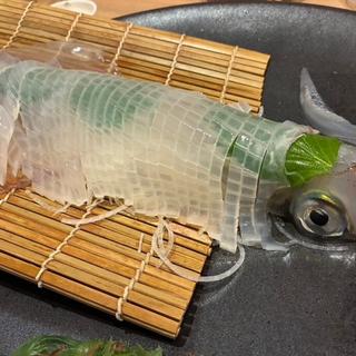 呼子旬槍いか