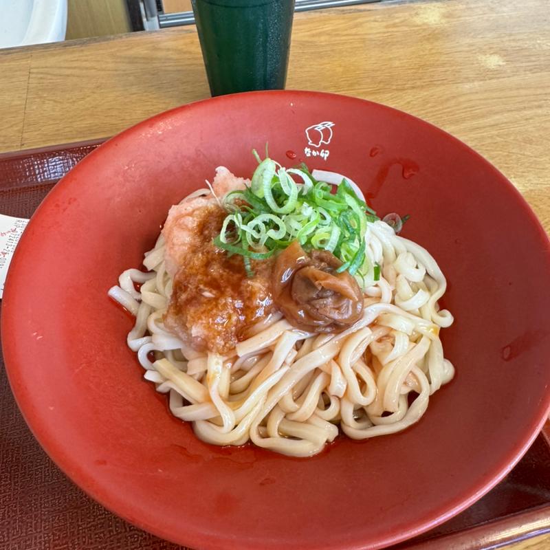 紀州南高梅おろしうどん(なか卯飯田橋東口店)