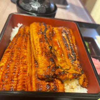 うな重（上）松