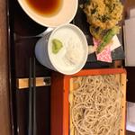 日替り昼天盛り〈冷〉