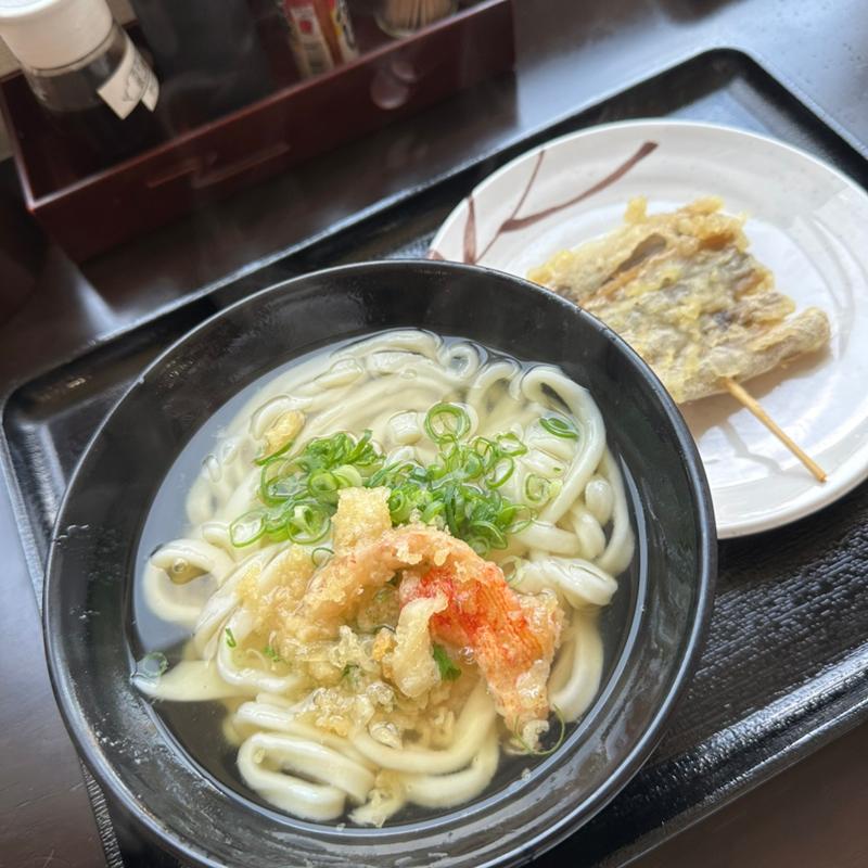 かけうどん並(釜ぬき)(讃岐うどん いしかわ家)