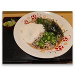 山形だし 夏野菜のネバトロそば 特盛
